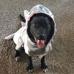 Meet your Posher, Renee